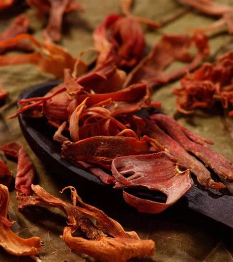 what is javitri in english|10 Amazing Health Benefits Of Mace Spice (Javitri) .